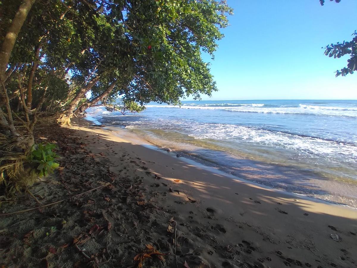 Escape Caribeno Hotell Puerto Viejo de Talamanca Exteriör bild