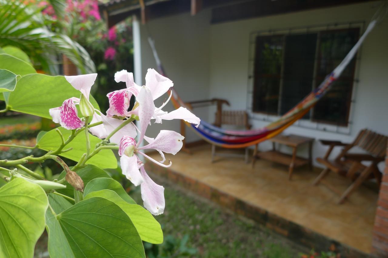 Escape Caribeno Hotell Puerto Viejo de Talamanca Exteriör bild