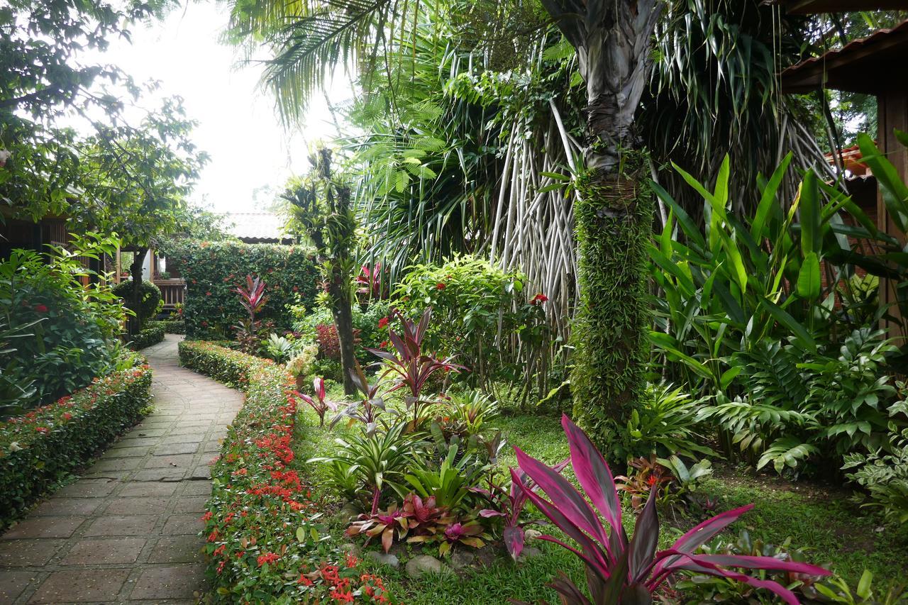 Escape Caribeno Hotell Puerto Viejo de Talamanca Exteriör bild