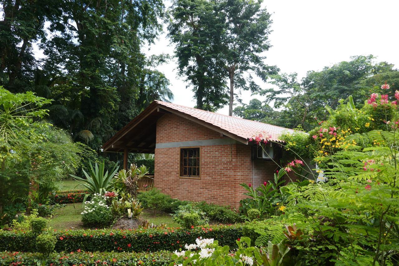 Escape Caribeno Hotell Puerto Viejo de Talamanca Exteriör bild