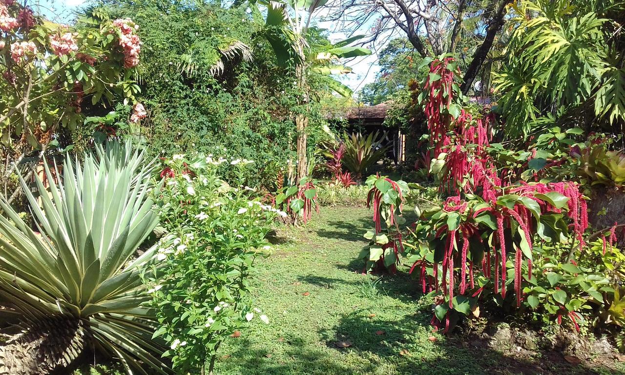 Escape Caribeno Hotell Puerto Viejo de Talamanca Exteriör bild
