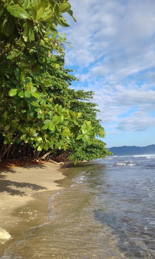 Escape Caribeno Hotell Puerto Viejo de Talamanca Exteriör bild