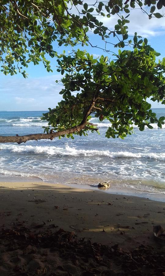 Escape Caribeno Hotell Puerto Viejo de Talamanca Exteriör bild